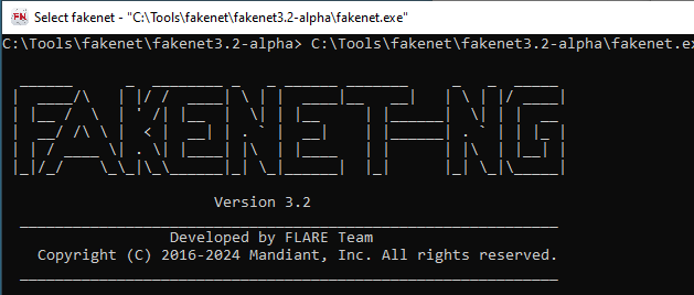 FakeNet startup